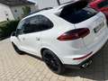 Porsche Cayenne Diesel Platinum Edition - thumbnail 2