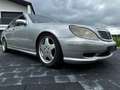 Mercedes-Benz S 500 S 500 (220.075)-AMG-Optic-/Styling-Paket 1 Plateado - thumbnail 3