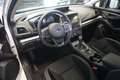 Subaru Impreza AWD Exclusive Line Aut. ACC/LED/SHZ Weiß - thumbnail 7