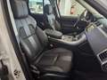 Land Rover Range Rover Sport Range Rover Sport II 2014 3.0 tdV6 HSE Dynamic Bianco - thumbnail 7