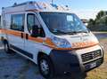 Fiat Ducato 2300 MJET 150Cv Ambulanza Blanco - thumbnail 15