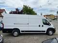 Opel Movano C Kasten HKa L4H2 3,5t Edition Diesel Weiß - thumbnail 6