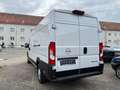 Opel Movano C Kasten HKa L4H2 3,5t Edition Diesel Weiß - thumbnail 9
