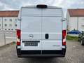 Opel Movano C Kasten HKa L4H2 3,5t Edition Diesel Weiß - thumbnail 8