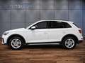 Audi Q5 advanced 50 2.0 TFSI e quattro S-tronic Weiß - thumbnail 7