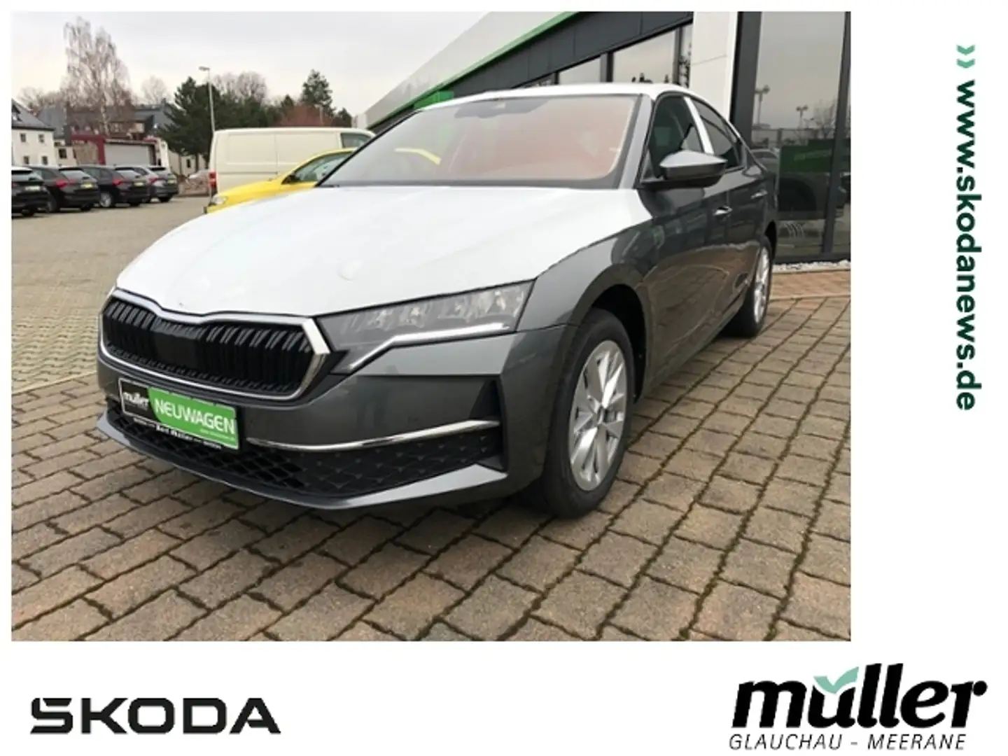 Skoda Octavia Lim. Selection Navi SmartLink Kamera Grau - 1