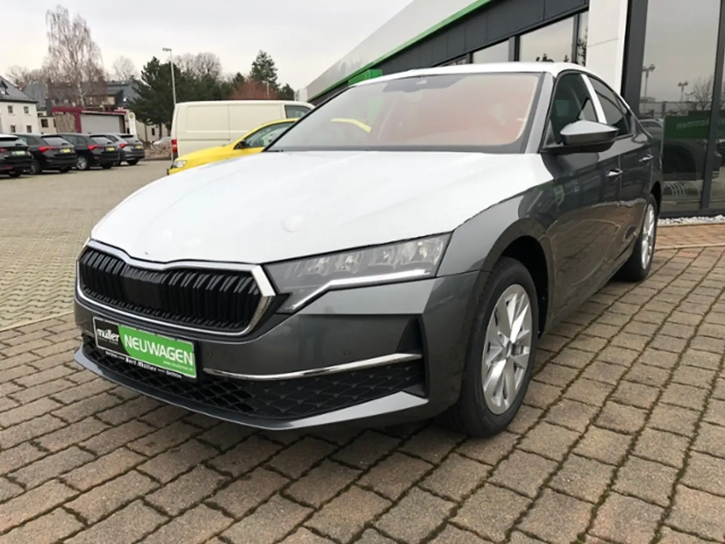 Skoda Octavia Lim. Selection Navi SmartLink Kamera Grau - 2