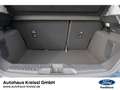Ford Fiesta Titanium 1.0 EcoBoost M-Hybrid Blau - thumbnail 21