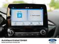 Ford Fiesta Titanium 1.0 EcoBoost M-Hybrid Blau - thumbnail 14