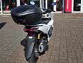 Honda PCX 125 DX*Zubehör*6Jahre Garantie* Blanc - thumbnail 6