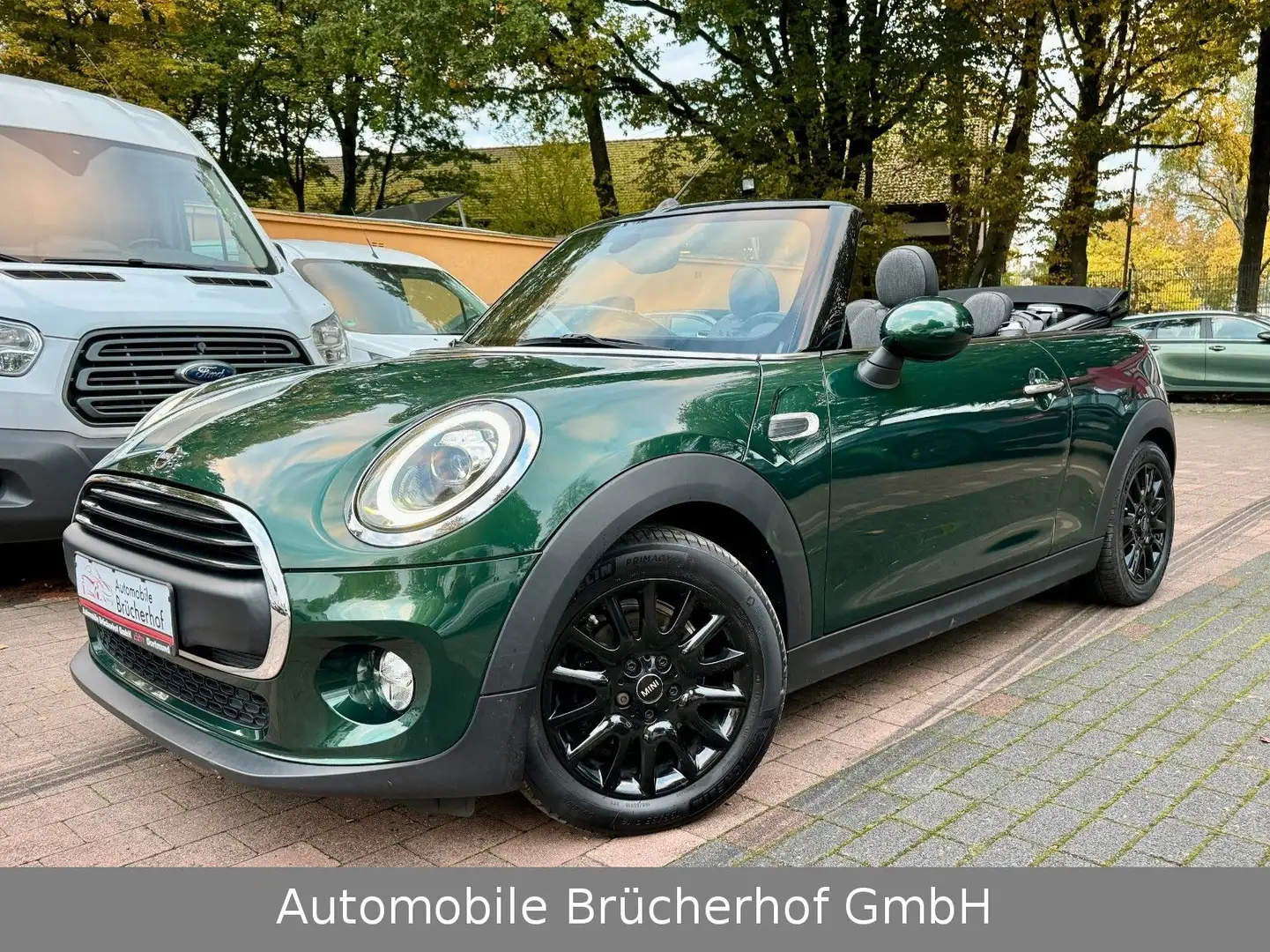 MINI One Cabrio Chili Navi/LED/SHZ/PDC/RacingGreen Grün - 1