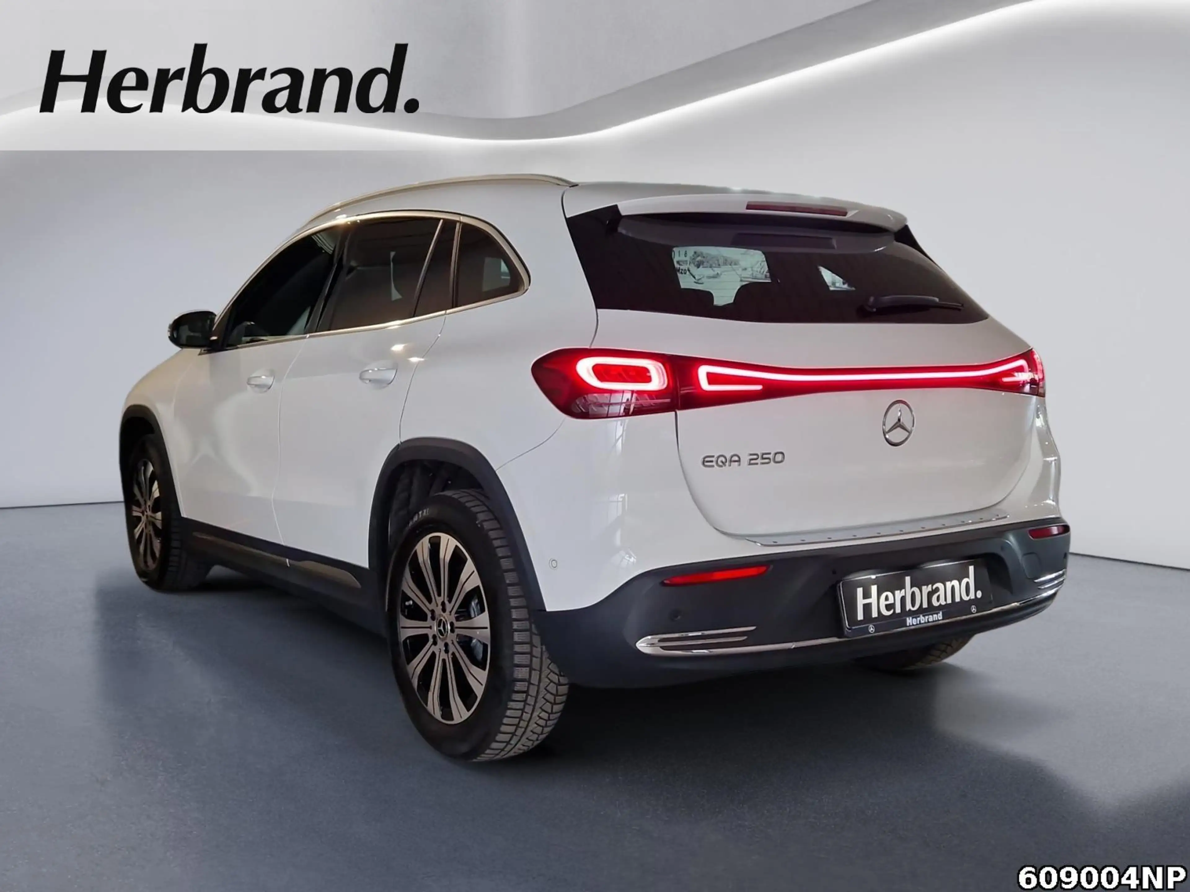 Mercedes-Benz EQA 250 Progressive Pano 360° Kamera Ambiente — photo 4