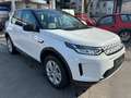 Land Rover Discovery Sport S AWD Weiß - thumbnail 3