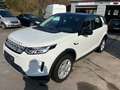 Land Rover Discovery Sport S AWD Weiß - thumbnail 2