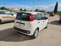 Fiat Panda Panda 1.3 mjt 16v Easy 75cv Wit - thumbnail 2