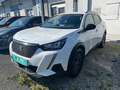 Peugeot 2008 BlueHDi 110 S&S Style 6-Gang-Manuell Weiß - thumbnail 1