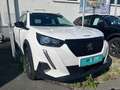 Peugeot 2008 BlueHDi 110 S&S Style 6-Gang-Manuell Weiß - thumbnail 2