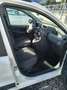 Fiat Panda 1.3 Multijet 4x4 Diesel DPF Climbing - thumbnail 8