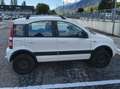 Fiat Panda 1.3 Multijet 4x4 Diesel DPF Climbing - thumbnail 3