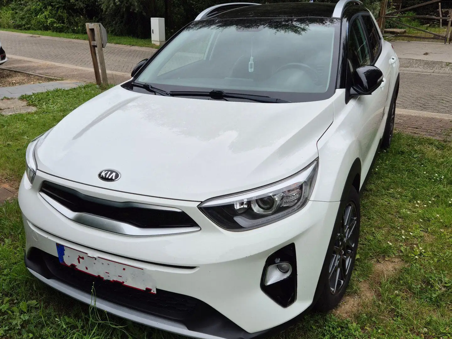 Kia Stonic Stonic 1.0 T Black Edition ISG Blanc - 1