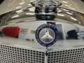 Mercedes-Benz 300 "Adenauer" Beige - thumbnail 32