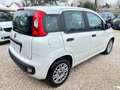Fiat Panda 1.2 NEOPATENTATI Bianco - thumbnail 6
