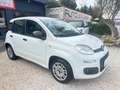 Fiat Panda 1.2 NEOPATENTATI Bianco - thumbnail 1