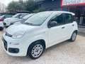 Fiat Panda 1.2 NEOPATENTATI Bianco - thumbnail 3