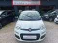 Fiat Panda 1.2 NEOPATENTATI Bianco - thumbnail 2