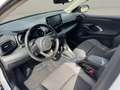 Mazda 2 Mazda2 Hybrid Agile/Comfort Aut. Weiß - thumbnail 6
