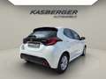 Mazda 2 Mazda2 Hybrid Agile/Comfort Aut. Weiß - thumbnail 4