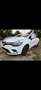 Reliant Sonstige Clio Weiß - thumbnail 5