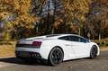 Lamborghini Gallardo Gallardo LP560-4 E-Gear Wit - thumbnail 5