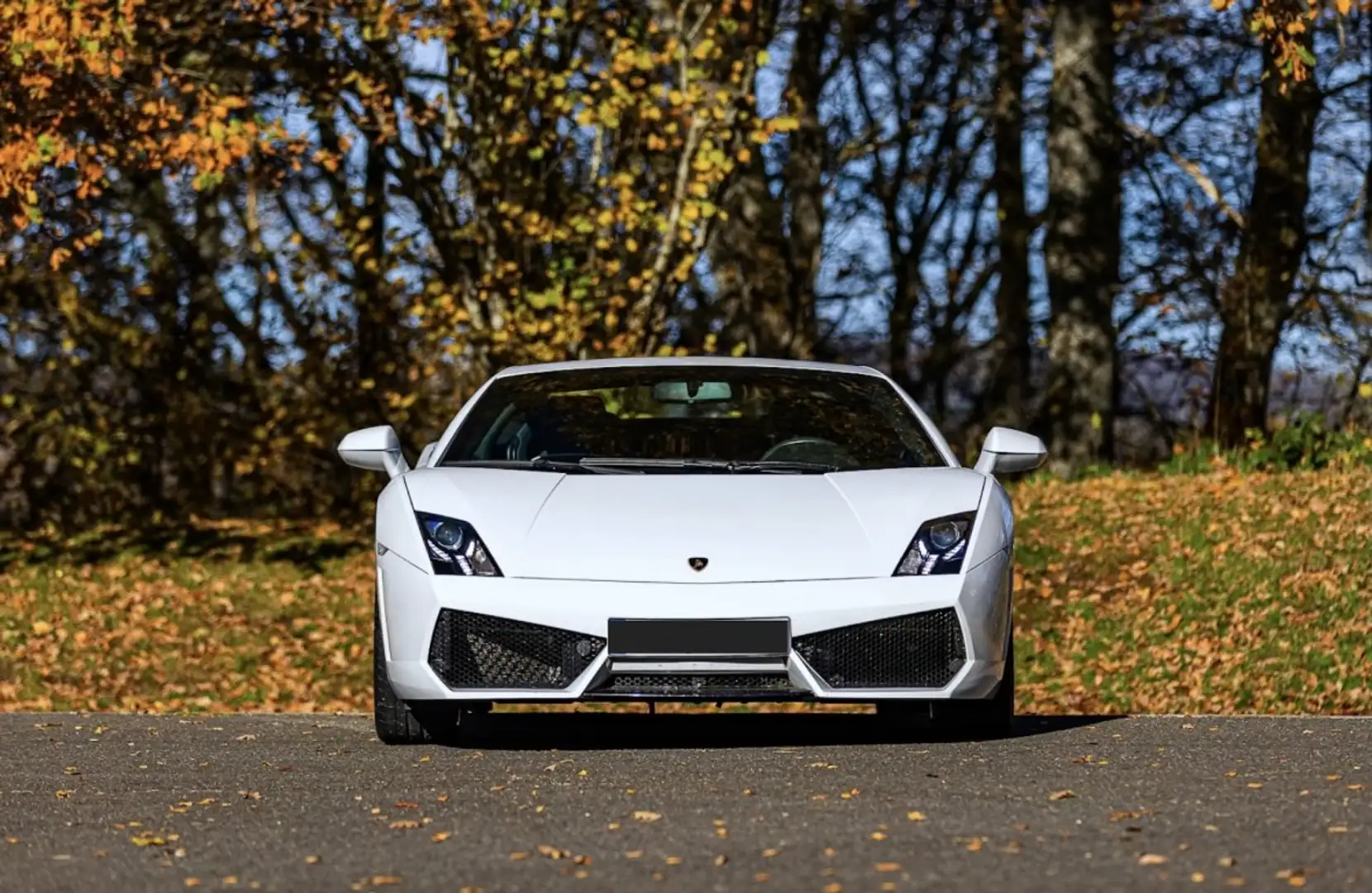 Lamborghini Gallardo Gallardo LP560-4 E-Gear Wit - 1