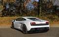 Lamborghini Gallardo Gallardo LP560-4 E-Gear Wit - thumbnail 3