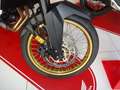 Honda XL 750 Transalp Tricolor Weiß - thumbnail 7