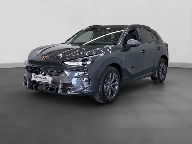 Cupra Terramar view 2