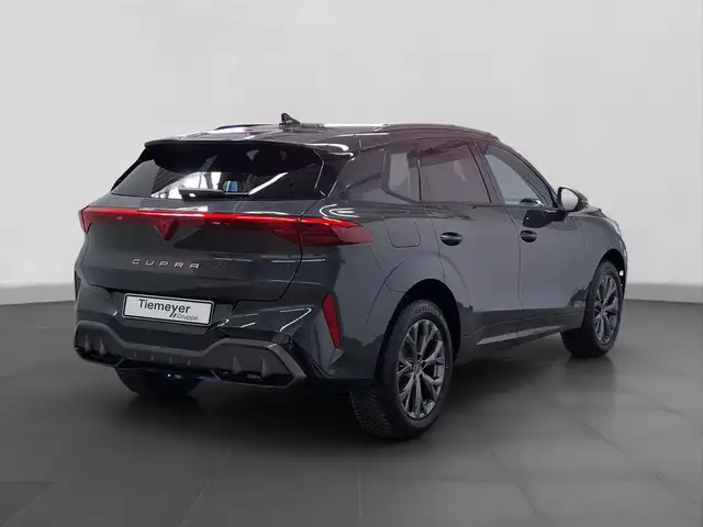Cupra Terramar view 3