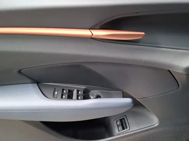Cupra Terramar view 9
