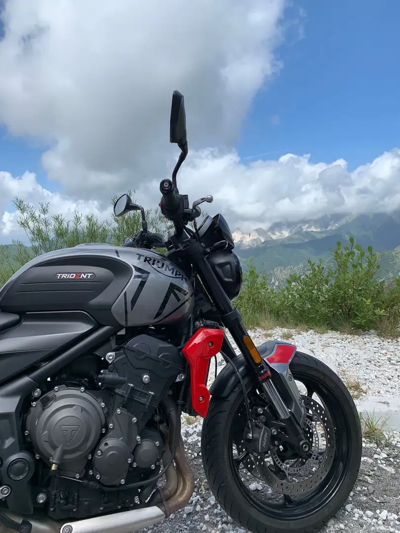 Triumph Trident 660 Gri - 1