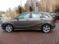 Mercedes-Benz B 180 CDI*Automatik*LED*SHZ*Tempomat*Kamera Braun - thumbnail 8