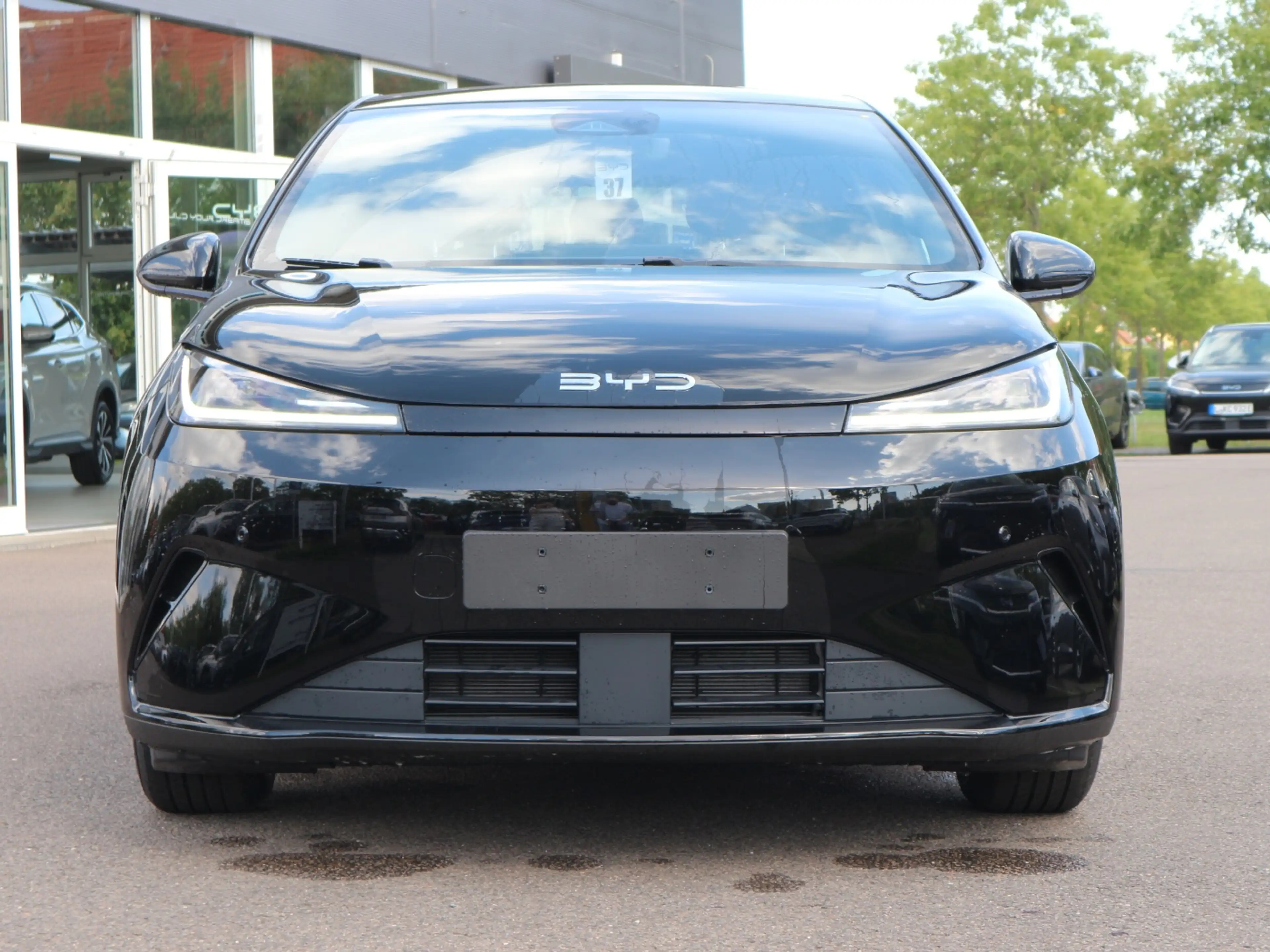 BYD Dolphin G DM-i Boost LED Navi Kam Assist MediaPa — photo 3