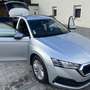 Skoda Octavia Octavia Combi 2.0 TDI 150 ch SCR FAP DSG7 Edition Argent - thumbnail 13
