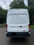 Ford Transit Bus Weiß - thumbnail 5