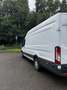 Ford Transit Bus Weiß - thumbnail 3