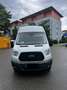 Ford Transit Bus Weiß - thumbnail 1