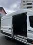 Ford Transit Bus Weiß - thumbnail 4