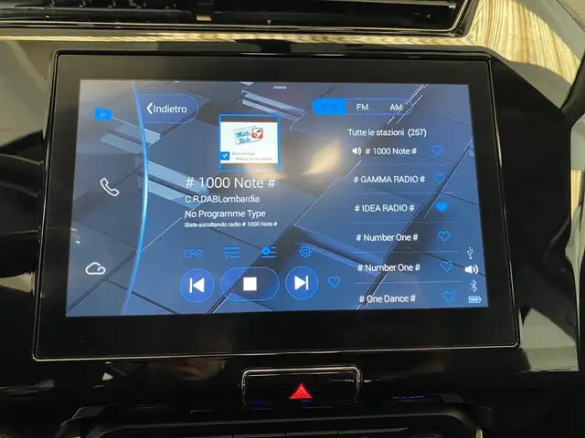 DR Automobiles DR 3.0 view 10