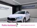 Skoda Octavia Combi 2.0 TDI DSG STYLE NAVI AHK PDC SITZHZG Weiß - thumbnail 1