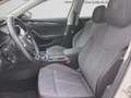 Skoda Octavia Combi 2.0 TDI DSG STYLE NAVI AHK PDC SITZHZG Weiß - thumbnail 9